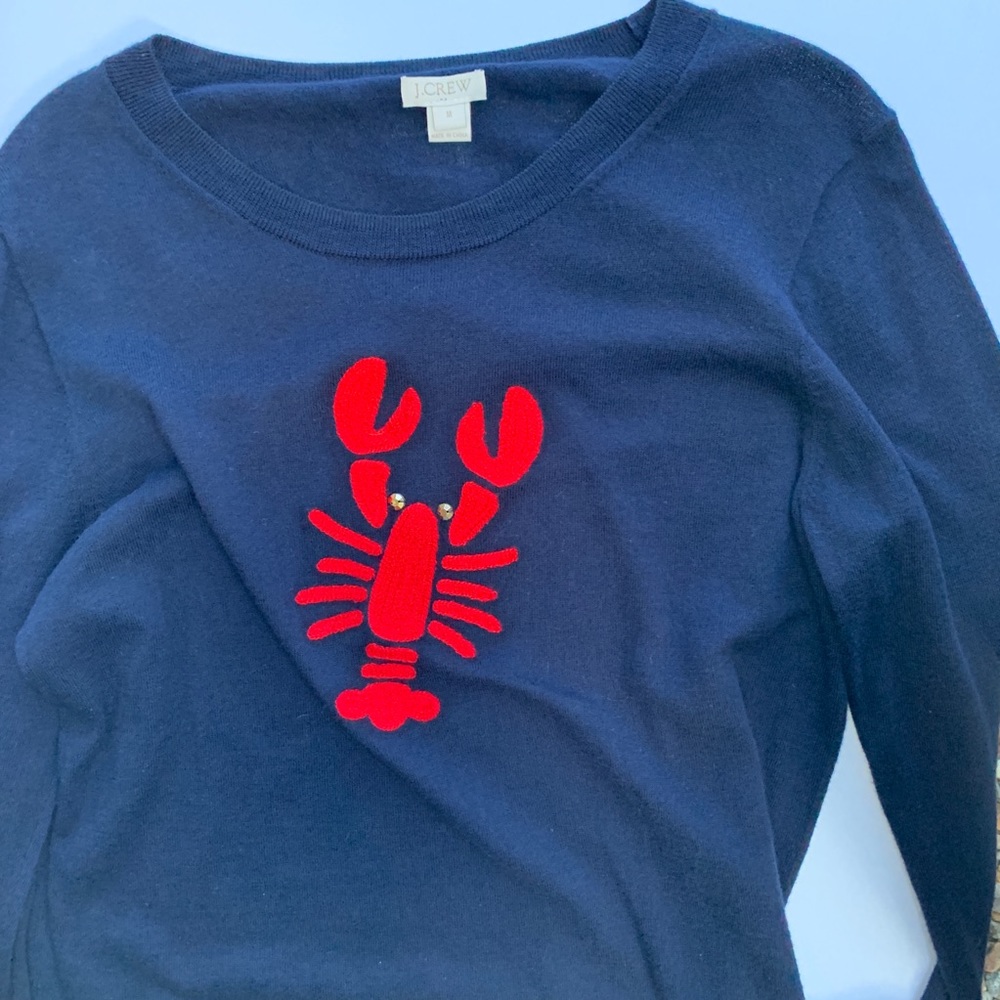 J.CREW M cotton Teddie  sweater navy blue